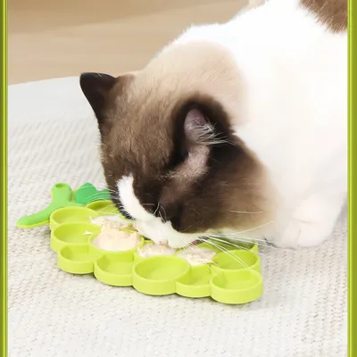 Pawzy Distributeur lent pour chat - Santé & hygiène