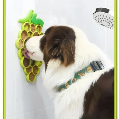 Pawzy Distributeur lent pour chat - Santé & hygiène
