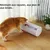Pawzy Griffoir pour chat avec clochette