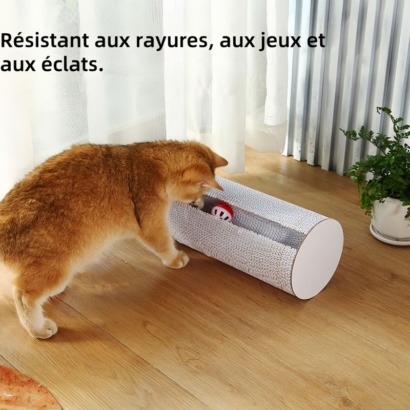 Pawzy Griffoir pour chat avec clochette