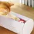 Pawzy Griffoir pour chat avec clochette