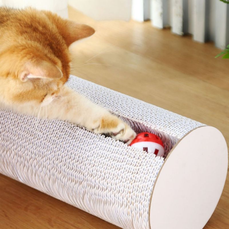 Pawzy Griffoir pour chat avec clochette