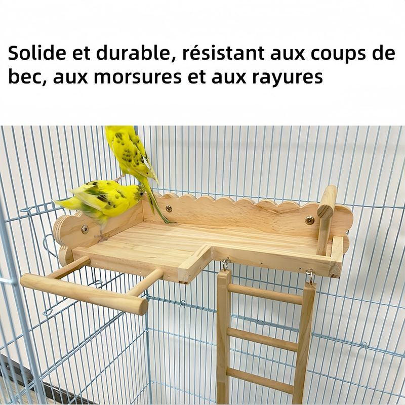Pawzy Perchoirs et échelles pour petits animaux