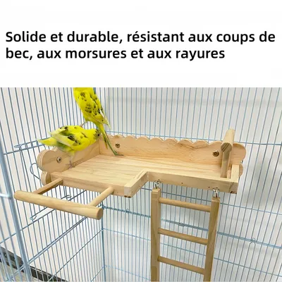 Pawzy Perchoirs et échelles pour petits animaux Pawzy Perchoirs et échelles pour petits animaux