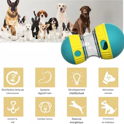 Pawzy Jouet interactif à nourriture évadée pour chien