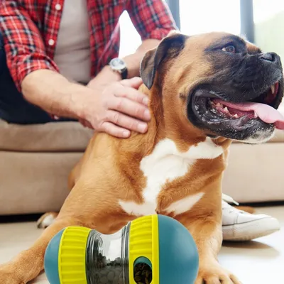 Pawzy Jouet interactif à nourriture évadée pour chien