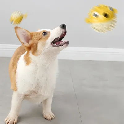 Pawzy Jouet pour chien en forme de poisson