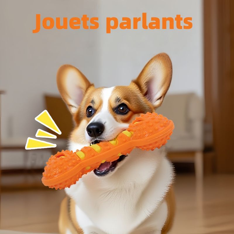 Pawzy Jouet à mâcher pour chien
