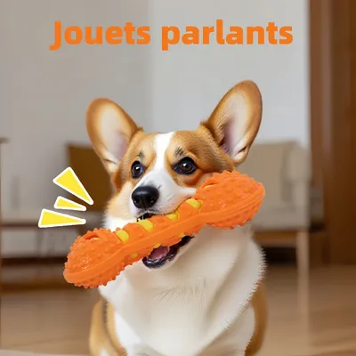 Pawzy Jouet à mâcher pour chien