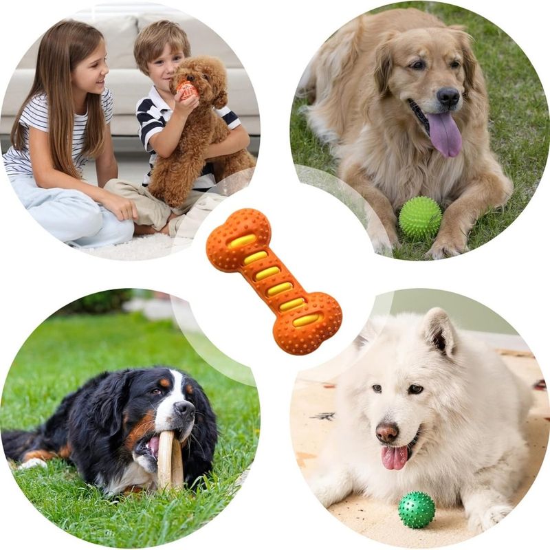 Pawzy Jouet à mâcher pour chien