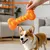 Pawzy Jouet à mâcher pour chien