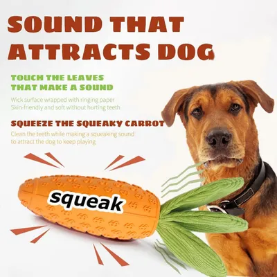 Pawzy Jouet Pâques chien - Caoutchouc résistant & nettoyant dents