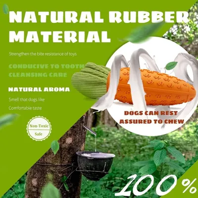 Pawzy Jouet Pâques chien - Caoutchouc résistant & nettoyant dents