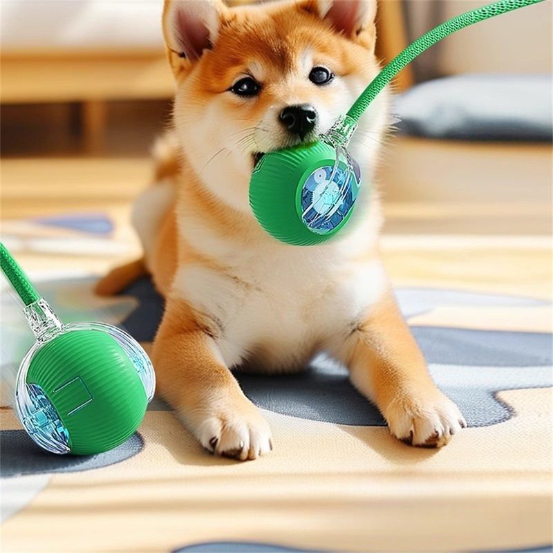 Pawzy Jouet interactif à ballon pour promener le chien automatiquement