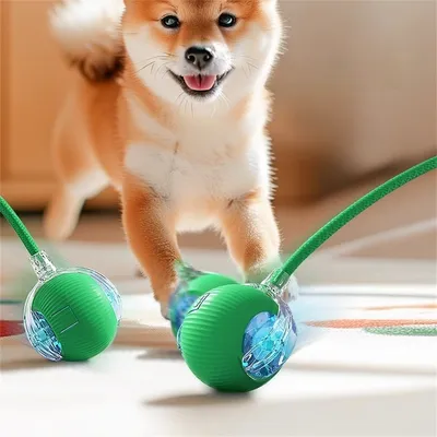 Pawzy Jouet interactif à ballon pour promener le chien automatiquement