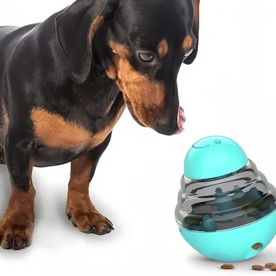 Pawzy Distributeur de croquettes jouet pour chien