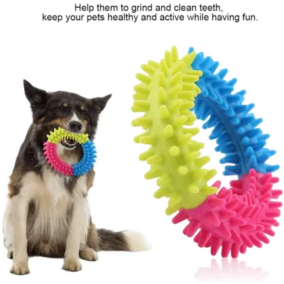 Pawzy Anneau à mâcher pour chien - Jouet dentaire résistant