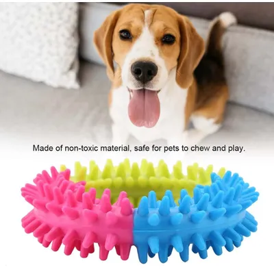 Pawzy Anneau à mâcher pour chien - Jouet dentaire résistant