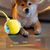 Pawzy Jouet interactif à ballon pour promener le chien automatiquement