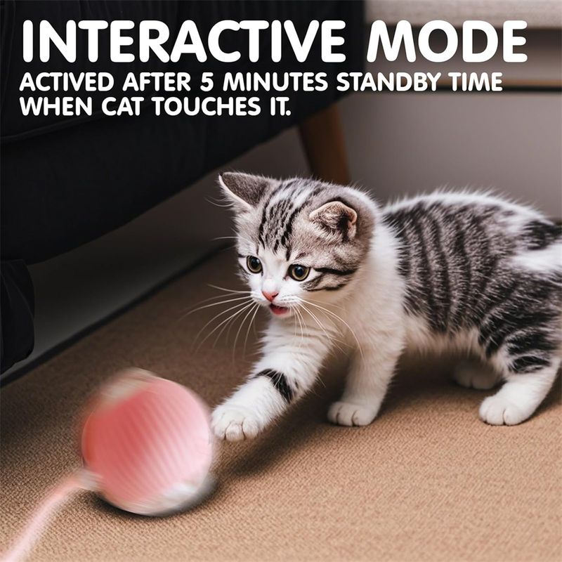 Pawzy Jouet interactif à ballon pour promener le chien automatiquement