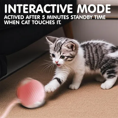 Pawzy Jouet interactif à ballon pour promener le chien automatiquement