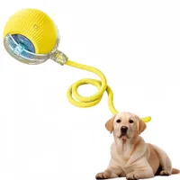 Pawzy Jouet interactif à ballon pour promener le chien automatiquement