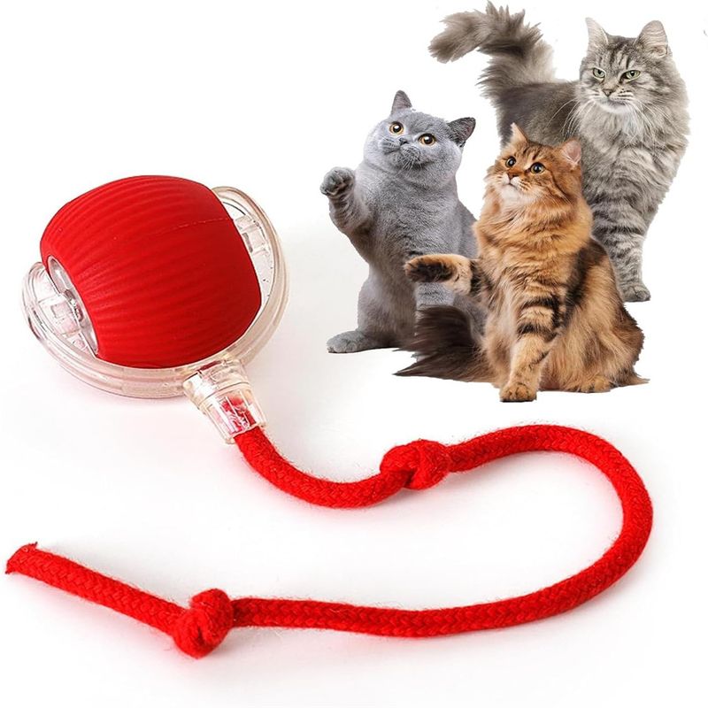 Pawzy Jouet interactif à ballon pour promener le chien automatiquement