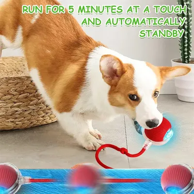 Pawzy Jouet interactif à ballon pour promener le chien automatiquement