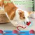 Pawzy Jouet interactif à ballon pour promener le chien automatiquement