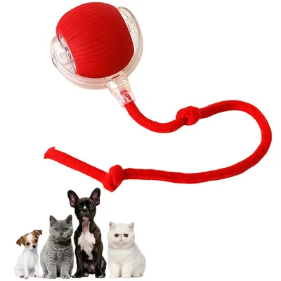 Pawzy Jouet interactif à ballon pour promener le chien automatiquement