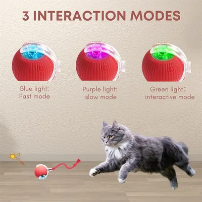 Pawzy Jouet interactif à ballon pour promener le chien automatiquement
