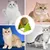 Pawzy Balle à griffes pour chat