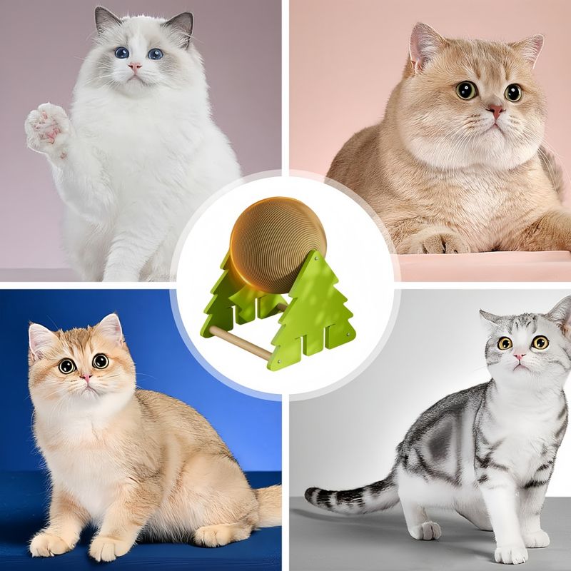 Pawzy Balle à griffes pour chat