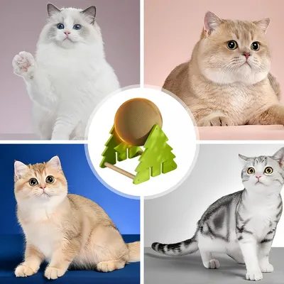 Pawzy Balle à griffes pour chat