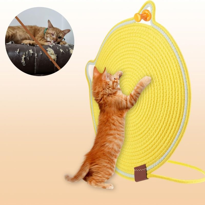 Pawzy Griffoir double face pour chat