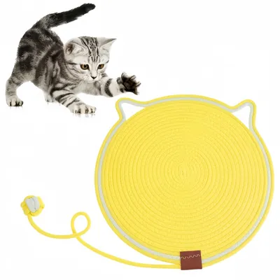 Pawzy Griffoir double face pour chat