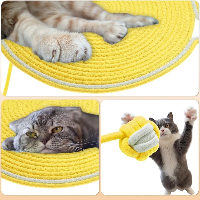 Pawzy Griffoir double face pour chat