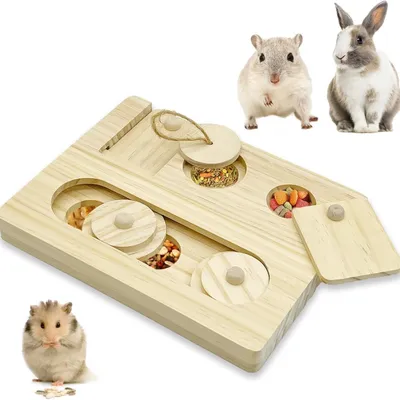 Pawzy Jouet d'enrichissement pour petits rongeurs