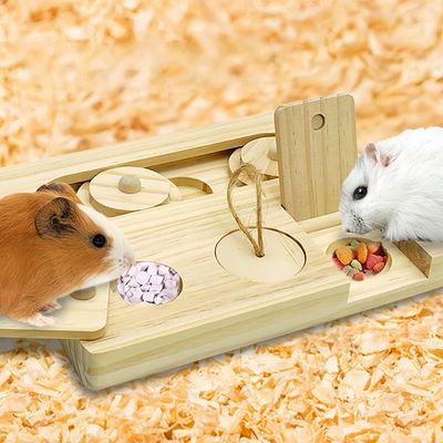 Pawzy Jouet d'enrichissement pour petits rongeurs