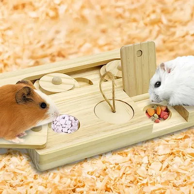 Pawzy Jouet d'enrichissement pour petits rongeurs