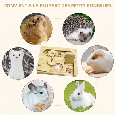 Pawzy Jouet d'enrichissement pour petits rongeurs