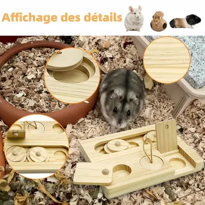 Pawzy Jouet d'enrichissement pour petits rongeurs