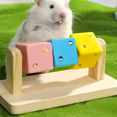 Pawzy Jouet cochon d'Inde en bois