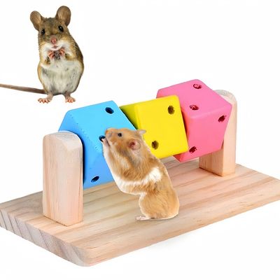 Pawzy Jouet cochon d'Inde en bois