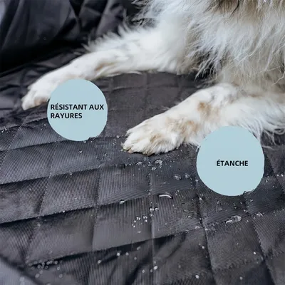 Pawzy Housse de siège auto pour chien