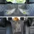 Pawzy Housse de siège auto pour chien