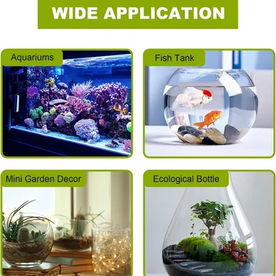 Pawzy Décoration aquarium : Tonneau cassé design