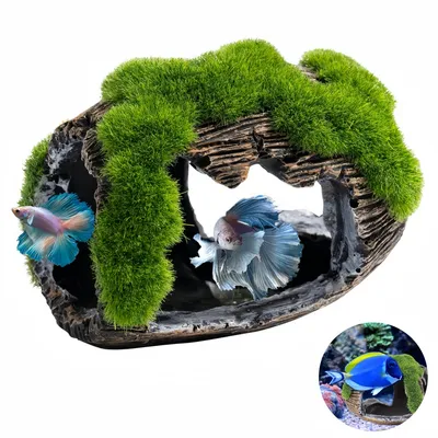 Pawzy Décoration aquarium : Tonneau cassé design
