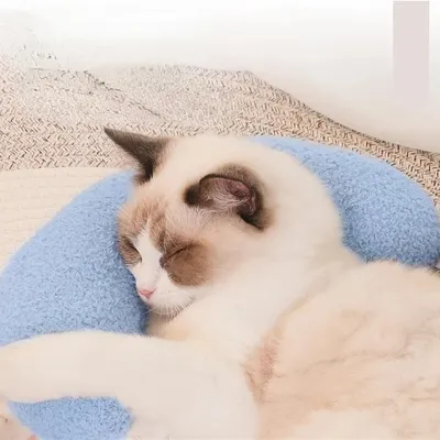 Pawzy Oreiller en forme de croissant pour chats et chiens