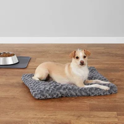 Pawzy Matelas pour chien gris foncé